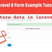 save data in laravel